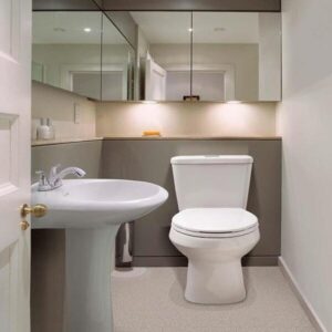 INOD. 553 DOBLE OLYMP DESCARGA