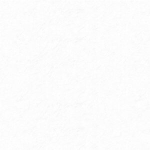 ULTRACOLOR BLANCO SIN ARENA 10