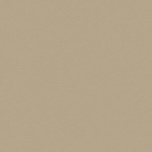 ULTRACOLOR COCOA SIN ARENA 10