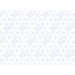 AZ. 9099L  GLOSSY 20X30 0.96 M