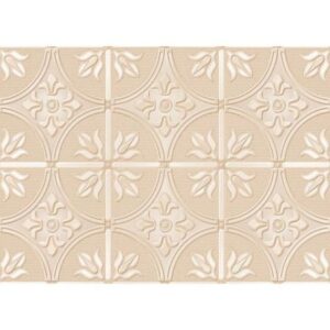 AZ. 1027DK GLOSSY 30X45 0.81 M