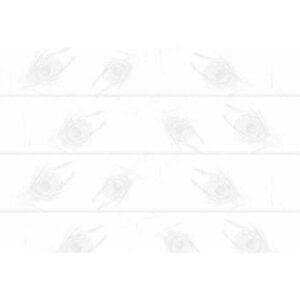 AZ. 5123L GLOSSY 30X45 0.81 MT