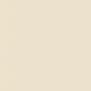 PLAIN IVORY 60X60 1.44MT