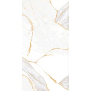 PISO SATVARIO GOLD 60X120 1.44