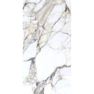 PISO ESCATO SATVARIO GLOSSY 60