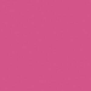 GALON VINI FUCSIA 1024