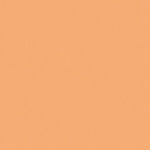 LATA VINI DURAZNO 1022