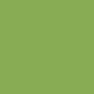 LATA VINI VERDE LIMON 1009