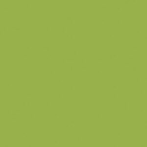 GALON  VINI LIMA 1065