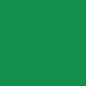 GALON VINI VERDE INTENSO 1067