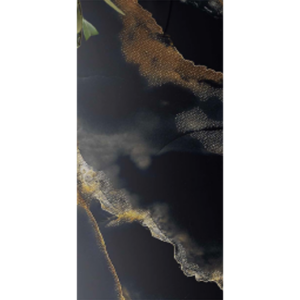 PISO ROTERDAM 2002 GOLDEN CARV